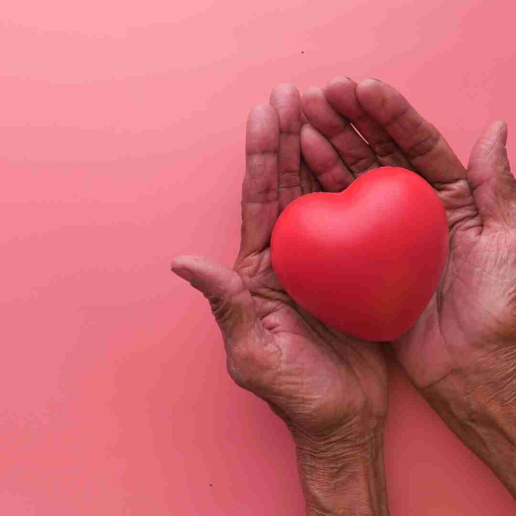 Old hands holding red heart representing hospice care
