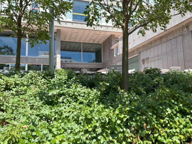 Harvard University Health Services image 1